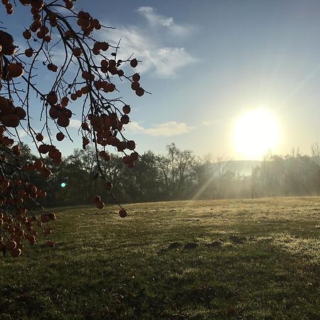 Gite Clodeguy Saint-Sylvestre-sur-Lot Zewnętrze zdjęcie