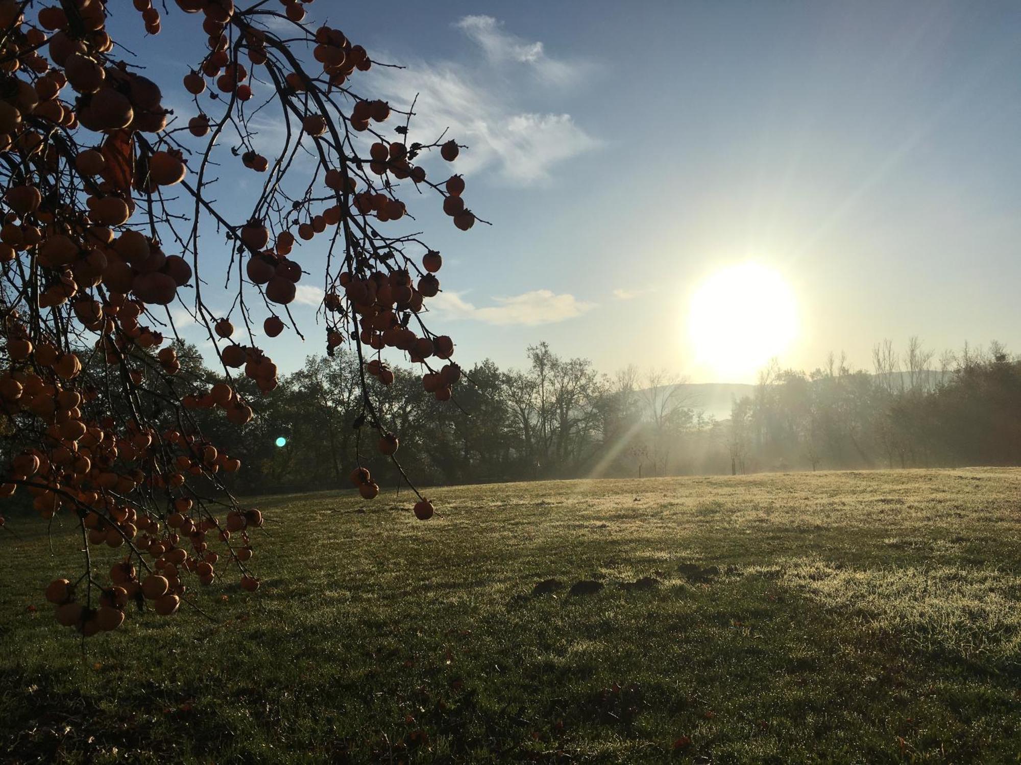 Gite Clodeguy Saint-Sylvestre-sur-Lot Zewnętrze zdjęcie